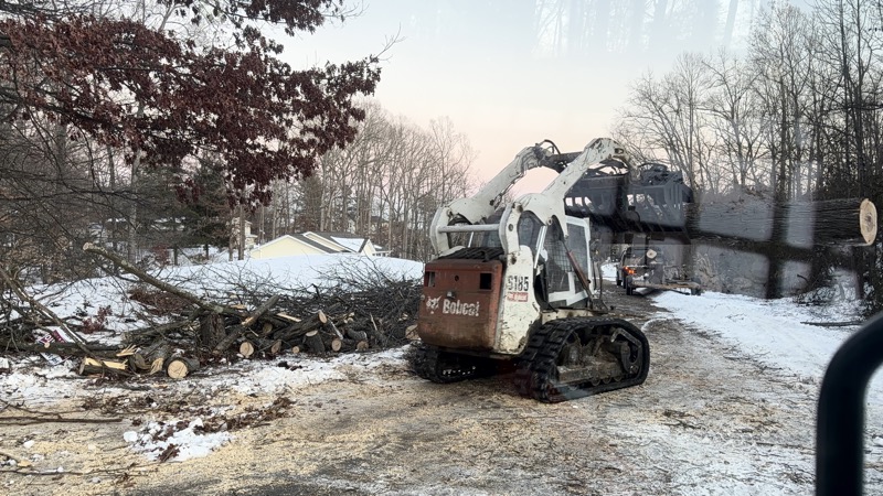 Bobcat skid steer with grapple moving logs during land clearing project